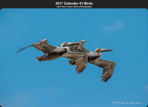 2017 Calendar 03